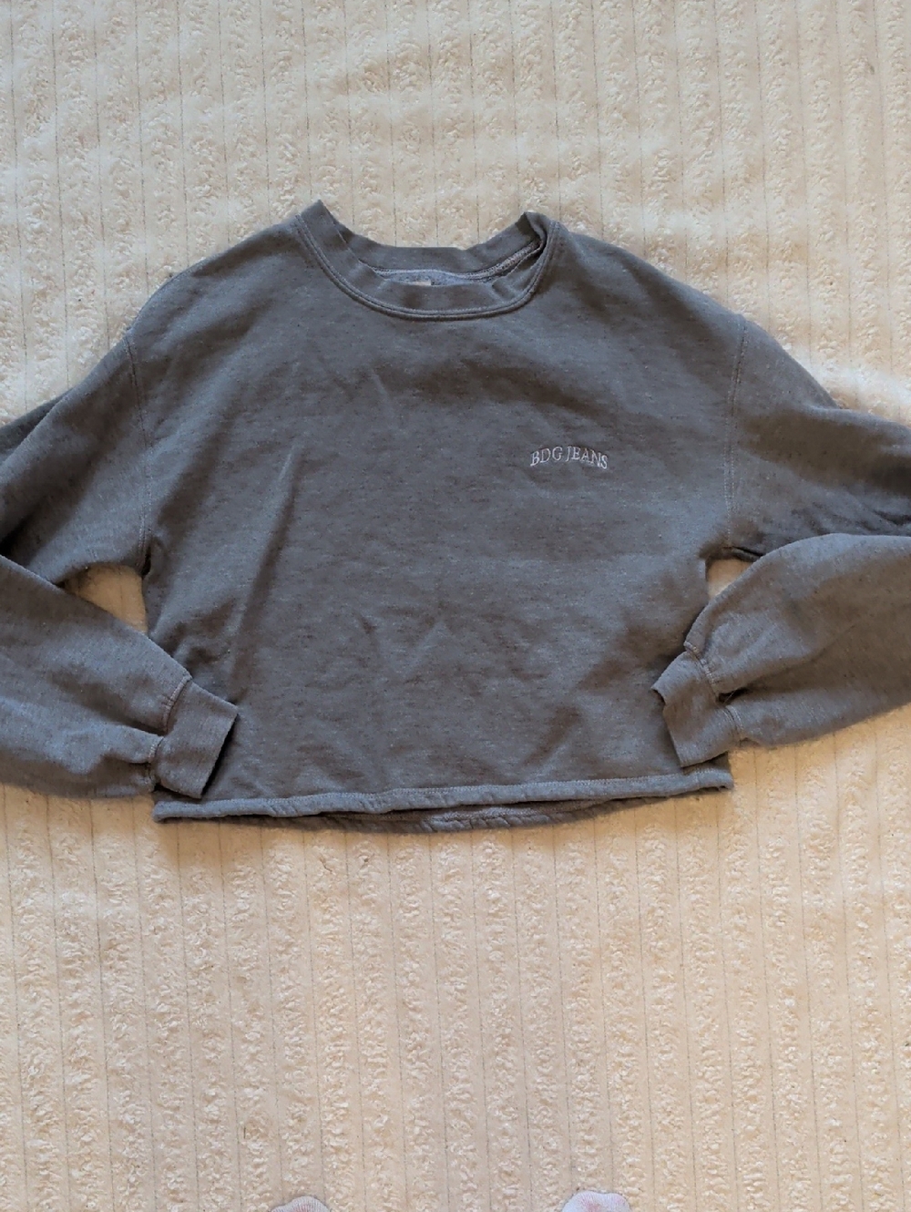 BDG Gray Sweatshirt